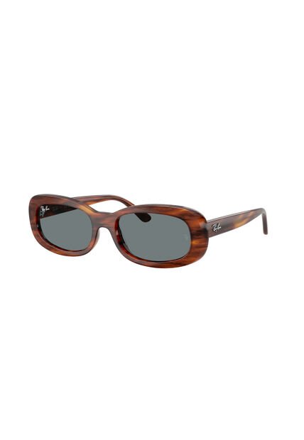 Gafas De Sol Ray-Ban RB2221 Marrón Mujer