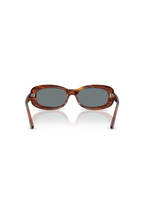 Gafas De Sol Ray-Ban RB2221 Marrón Mujer