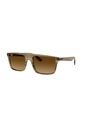 Gafas De Sol Ray-Ban RB2222 Verde Hombre Y Mujer de Rayban