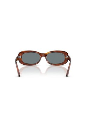 Gafas De Sol Ray-Ban RB2221 Marrón Mujer