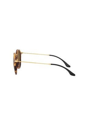 Gafas De Sol Ray-Ban Round RB2447 Café Hombre Y Mujer