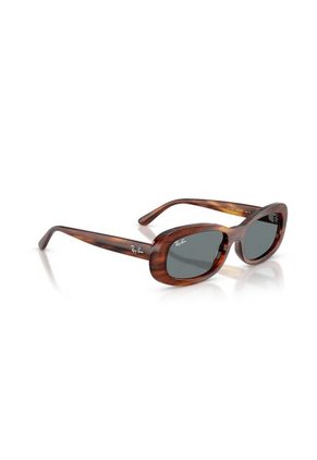 Gafas De Sol Ray-Ban RB2221 Marrón Mujer