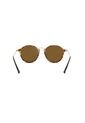 Gafas De Sol Ray-Ban Round RB2447 Café Hombre Y Mujer de Rayban
