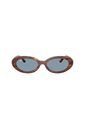 Gafas De Sol Ray-Ban RB2223 Marrón Mujer de Rayban