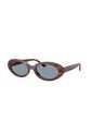 Gafas De Sol Ray-Ban RB2223 Marrón Mujer de Rayban