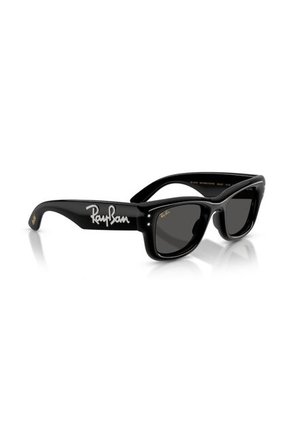 Gafas De Sol Ray-Ban Wayfarer Puffer Hombre Y Mujer Negro