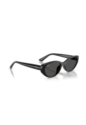 Gafas De Sol Ray-Ban RB4457 Hombre Y Mujer Negro