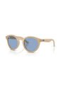 Gafas De Sol Ray-Ban RBR0505S Hombre Y Mujer Marrón de Rayban