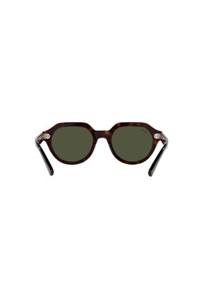 Gafas De Sol Ray-Ban Gina RB4399 Marrón Hombre - LIQUIDACION