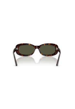 Gafas De Sol Ray-Ban RB2221 Habana Mujer
