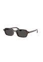 Gafas De Sol Ray-Ban Zuri RB4455 Marrón Hombre Y Mujer de Rayban