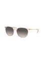 Gafas De Sol Ray-Ban Erika RB4171 Rosa Mujer de Rayban
