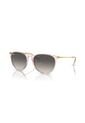 Gafas De Sol Ray-Ban Erika RB4171 Rosa Mujer de Rayban
