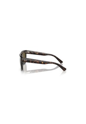 Gafas De Sol Ray-Ban Phil RB4426 Carey Hombre Y Mujer
