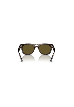 Gafas De Sol Ray-Ban Phil RB4426 Carey Hombre Y Mujer