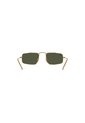 Gafas De Sol Ray-Ban Julie RB3957 Dorado Hombre Y Mujer - LIQUIDACION de Rayban