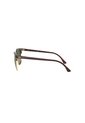 Gafas De Sol Ray-Ban Clubmaster RB3016 Marrón Hombre Y Mujer - LIQUIDACION de Rayban