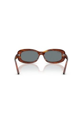 Gafas De Sol Ray-Ban RB2221 Mujer Marrón