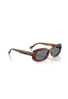 Gafas De Sol Ray-Ban RB2221 Mujer Marrón