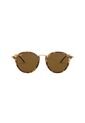 Gafas De Sol Ray-Ban Round Hombre Y Mujer Café de Rayban