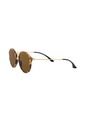 Gafas De Sol Ray-Ban Round Hombre Y Mujer Café de Rayban