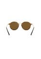 Gafas De Sol Ray-Ban Round Hombre Y Mujer Café de Rayban