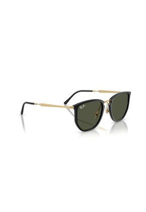 Gafas De Sol Ray-Ban RB4451 Hombre Y Mujer Negro