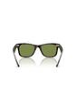 NEW -Gafas De Sol Ray-Ban Wayfarer RB2140 14134E 50 de Rayban