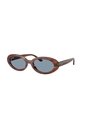 Gafas De Sol Ray-Ban RB2223 Marrón Mujer de Rayban