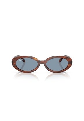 Gafas De Sol Ray-Ban RB2223 Marrón Mujer
