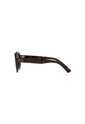 Gafas De Sol Ray-Ban Gina RB4399 Marrón Hombre