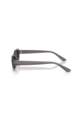Gafas De Sol Ray-Ban RB4441D RB4441 Gris Hombre Y Mujer