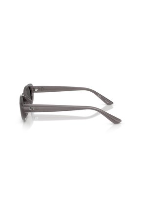 Gafas De Sol Ray-Ban RB4441D RB4441 Gris Hombre Y Mujer