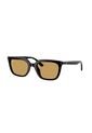 Gafas De Sol Ray-Ban RB4439D RB4439 Negro Hombre Y Mujer de Rayban