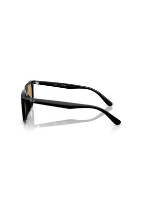 Gafas De Sol Ray-Ban RB4439D RB4439 Negro Hombre Y Mujer