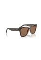 Gafas De Sol Ray-Ban RB4437 Marrón Mujer de Rayban