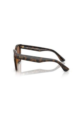 Gafas De Sol Ray-Ban RB4437 Marrón Mujer