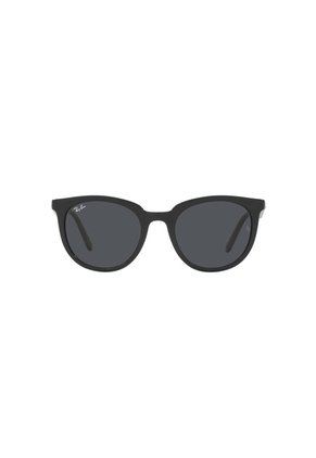 Gafas De Sol Ray-Ban RB4383 Negro Hombre Y Mujer
