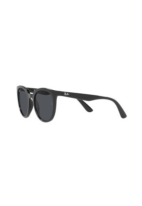Gafas De Sol Ray-Ban RB4383 Negro Hombre Y Mujer