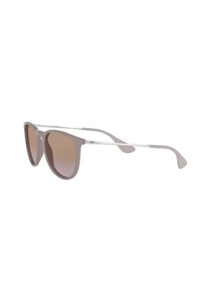 Gafas De Sol Ray-Ban Erika RB4171 Marrón Hombre Y Mujer