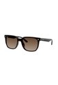 Gafas De Sol Ray-Ban RB4466D RB4466 Marrón Hombre Y Mujer de Rayban