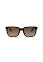 Gafas De Sol Ray-Ban RB4466D RB4466 Marrón Hombre Y Mujer de Rayban