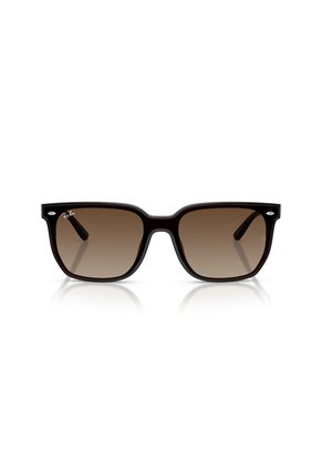 Gafas De Sol Ray-Ban RB4466D RB4466 Marrón Hombre Y Mujer