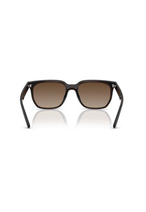 Gafas De Sol Ray-Ban RB4466D RB4466 Marrón Hombre Y Mujer