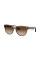 Gafas De Sol Ray-Ban RB4463L RB4463 Marrón Mujer de Rayban