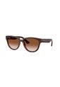 Gafas De Sol Ray-Ban RB4463L RB4463 Marrón Mujer de Rayban