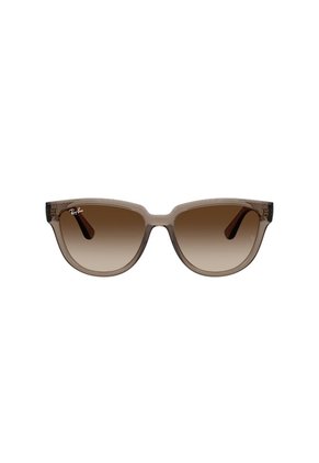 Gafas De Sol Ray-Ban RB4463L RB4463 Marrón Mujer