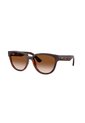 Gafas De Sol Ray-Ban RB4463L RB4463 Marrón Mujer de Rayban