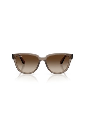 Gafas De Sol Ray-Ban RB4463L RB4463 Marrón Mujer