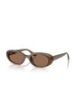 Gafas De Sol Ray-Ban RB4441D RB4441 Marrón Hombre Y Mujer de Rayban